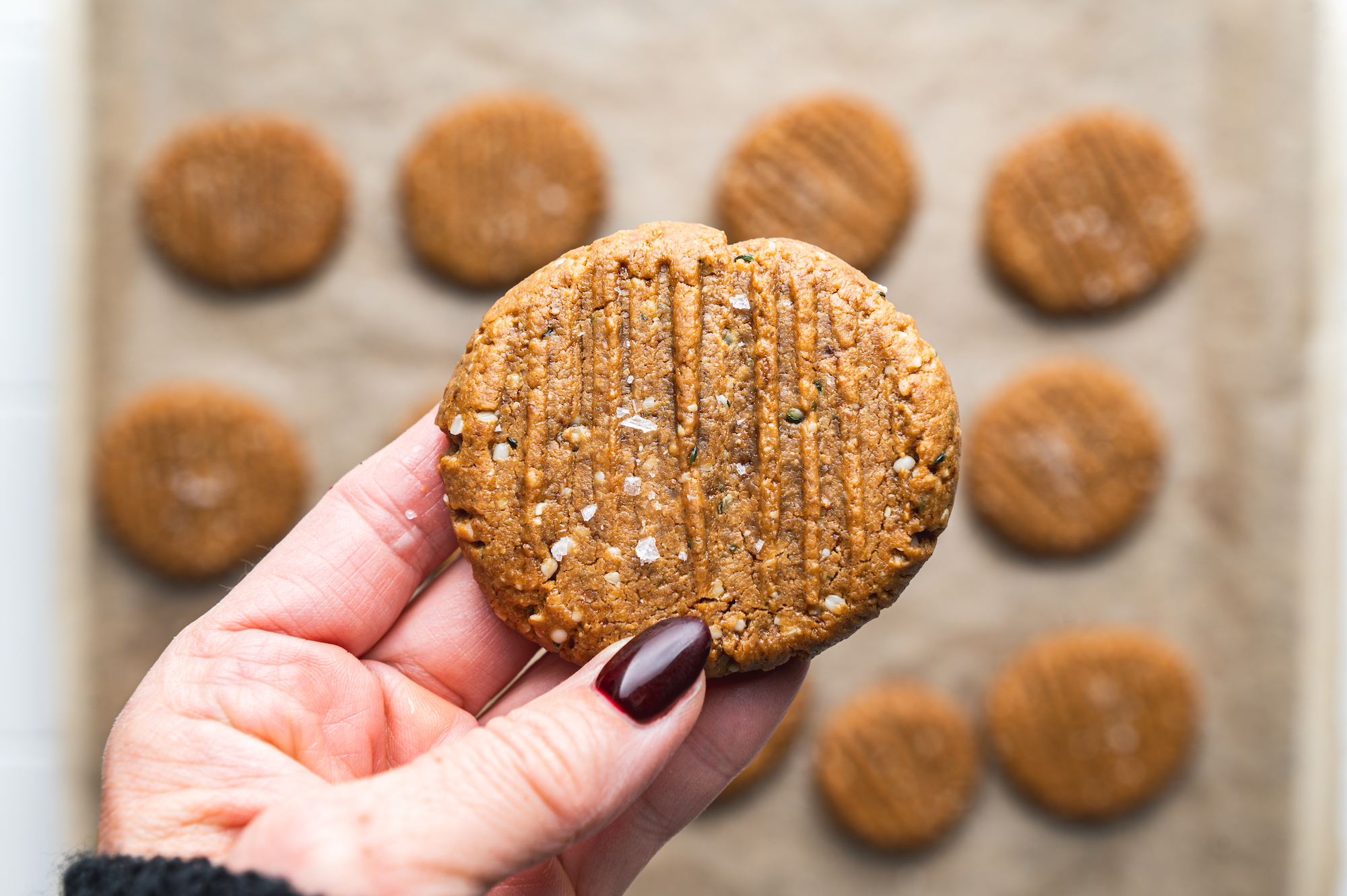 hand holding a raw peanut butter cookie with seeds and sea salt flakes by teri-ann carty